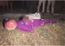 Camnews