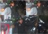Camnews