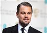 Camnews