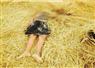 Camnews