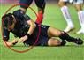 Camnews