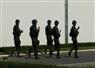 Camnews