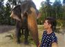 Camnews