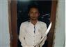 Camnews