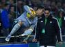 Camnews