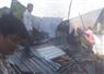 Camnews
