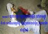 Camnews