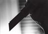 Camnews