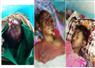 Camnews