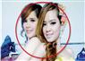 Camnews