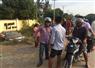 Camnews