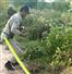 Camnews