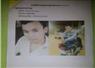 Camnews