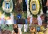 Camnews
