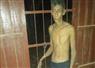 Camnews