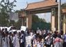 Camnews