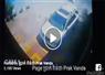 Camnews