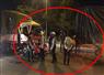 Camnews
