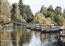 Camnews