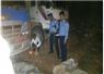 Camnews