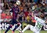 Camnews