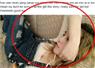 Camnews