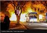 Camnews