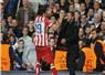 Camnews