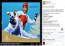 Camnews