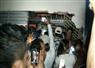 Camnews
