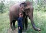 Camnews