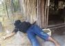 Camnews