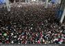 Camnews