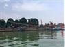 Camnews