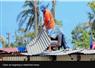 Camnews