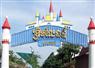 Camnews