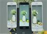 Camnews