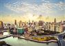 Camnews