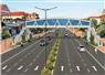 Camnews