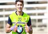 Camnews