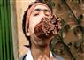 Camnews