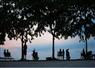 Camnews