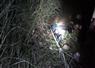 Camnews