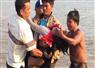 Camnews