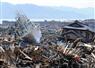 Camnews