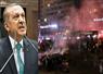 Camnews