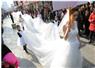 Camnews