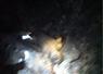 Camnews