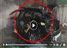 Camnews