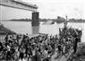 Camnews